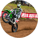 Louis Q profile picture